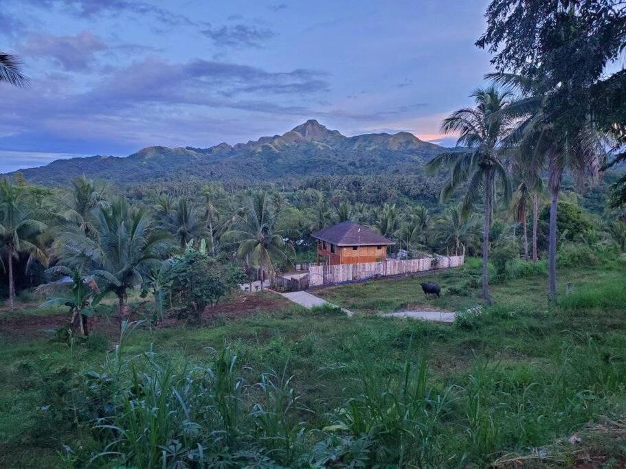 タガイタイ Modern Bahay Kubo In A Farm Near Tagaytayヴィラ エクステリア 写真